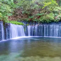 白糸の滝の写真・動画_image_980390