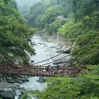 祖谷のかずら橋の写真・動画_image_980647