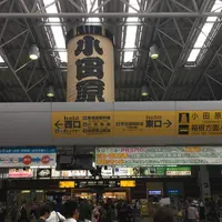 小田原駅の写真・動画_image_981052