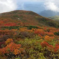 栗駒山の写真・動画_image_985344