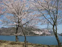宮ヶ瀬湖畔園地の写真・動画_image_17788
