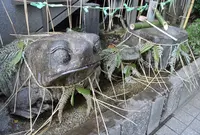 十番稲荷神社の写真・動画_image_57367