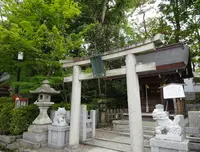 八坂神社の写真・動画_image_356406