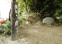 矢切の渡しの写真・動画_image_45616