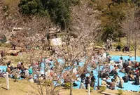 瀬戸公園の写真・動画_image_25404