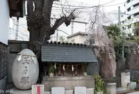 波除稲荷神社の写真・動画_image_27216