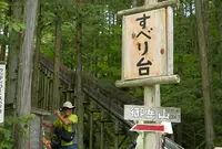 赤沢自然休養林の写真・動画_image_41214