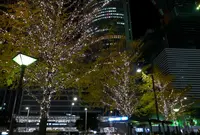 名古屋駅の写真・動画_image_53281
