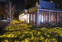 セントラルガーデンの写真・動画_image_53520