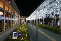セントラルガーデンの写真・動画_image_53522