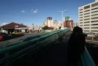 凌雲橋 (新坂跨線橋)の写真・動画_image_53549