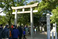 日吉神社の写真・動画_image_56919