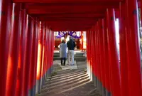 日吉神社の写真・動画_image_56926