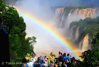 Iguazu Fallsの写真・動画_image_57553