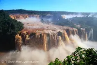 Iguazu Fallsの写真・動画_image_57555