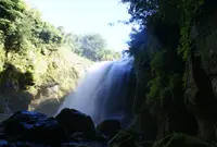 黄牛の滝の写真・動画_image_1071733