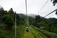 剣山登山リフトの写真・動画_image_132768