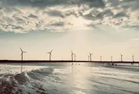 高美湿地の写真・動画_image_1378374