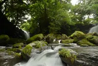 夫婦滝・滝のおみやげ屋さんの写真・動画_image_150321