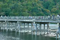 渡月橋の写真・動画_image_154771