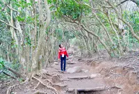 糸島のトトロの森の写真・動画_image_1561199