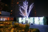 セントラルガーデンの写真・動画_image_158341