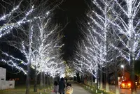 学びの森の写真・動画_image_158878
