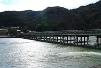 渡月橋の写真・動画_image_161108