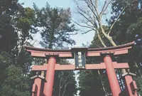 彌彦神社の写真・動画_image_161265