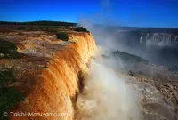 Iguazu Fallsの写真・動画_image_162054