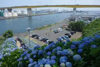 三沢空港の写真・動画_image_1626776