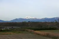 長良川堤防から見た伊吹山の写真・動画_image_163545