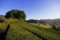 安積親王陵墓の写真・動画_image_175650