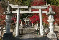 意富布良神社の写真・動画_image_205591