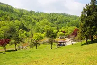 上砂川岳日本庭園の写真・動画_image_217594