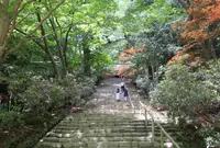室生寺の写真・動画_image_242753