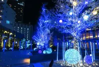 名古屋ルーセントタワーの写真・動画_image_282344