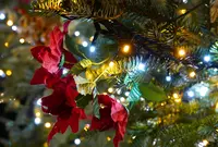 名古屋クリスマスマーケットの写真・動画_image_286676