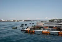 城ヶ島渡船の写真・動画_image_452461