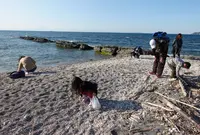 たてやま・海辺の鑑定団｜シュノーケリング・自然体験の写真・動画_image_832342