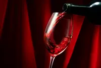 ワイン専門店Cote D'or（コートドール）おもろまち店の写真・動画_image_907352