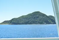 大島の写真・動画_image_969641