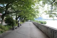 木曽川の写真・動画_image_37225