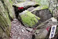 金胎寺の写真・動画_image_73926