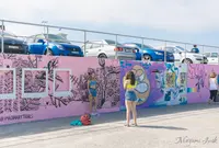 Bondi Beach Graffiti Wallの写真・動画_image_986278