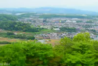 弘法山公園公園 展望台の写真・動画_image_30619