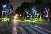 学びの森の写真・動画_image_54142