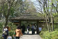 国営昭和記念公園日本庭園の写真・動画_image_175743