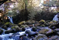 夫婦滝・滝のおみやげ屋さんの写真・動画_image_178491