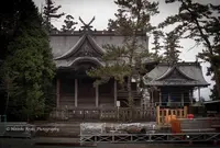 阿蘇神社の写真・動画_image_213654
